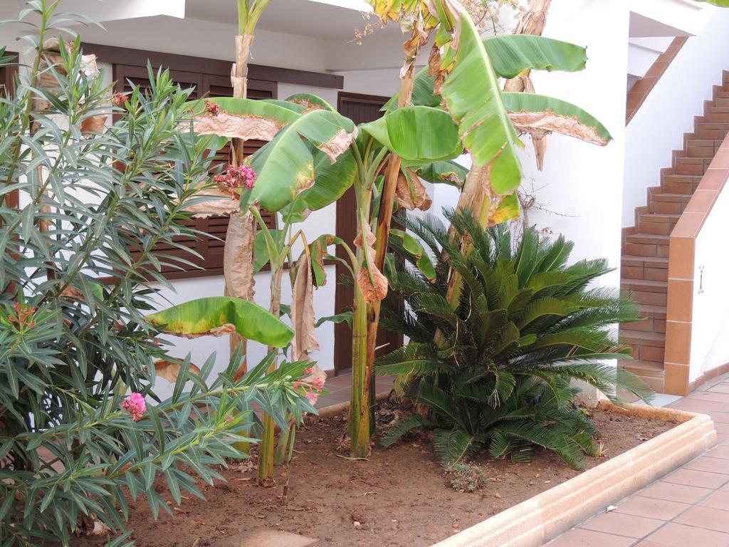 Apartamentos Sal Rossa Ibiza Town Exterior photo